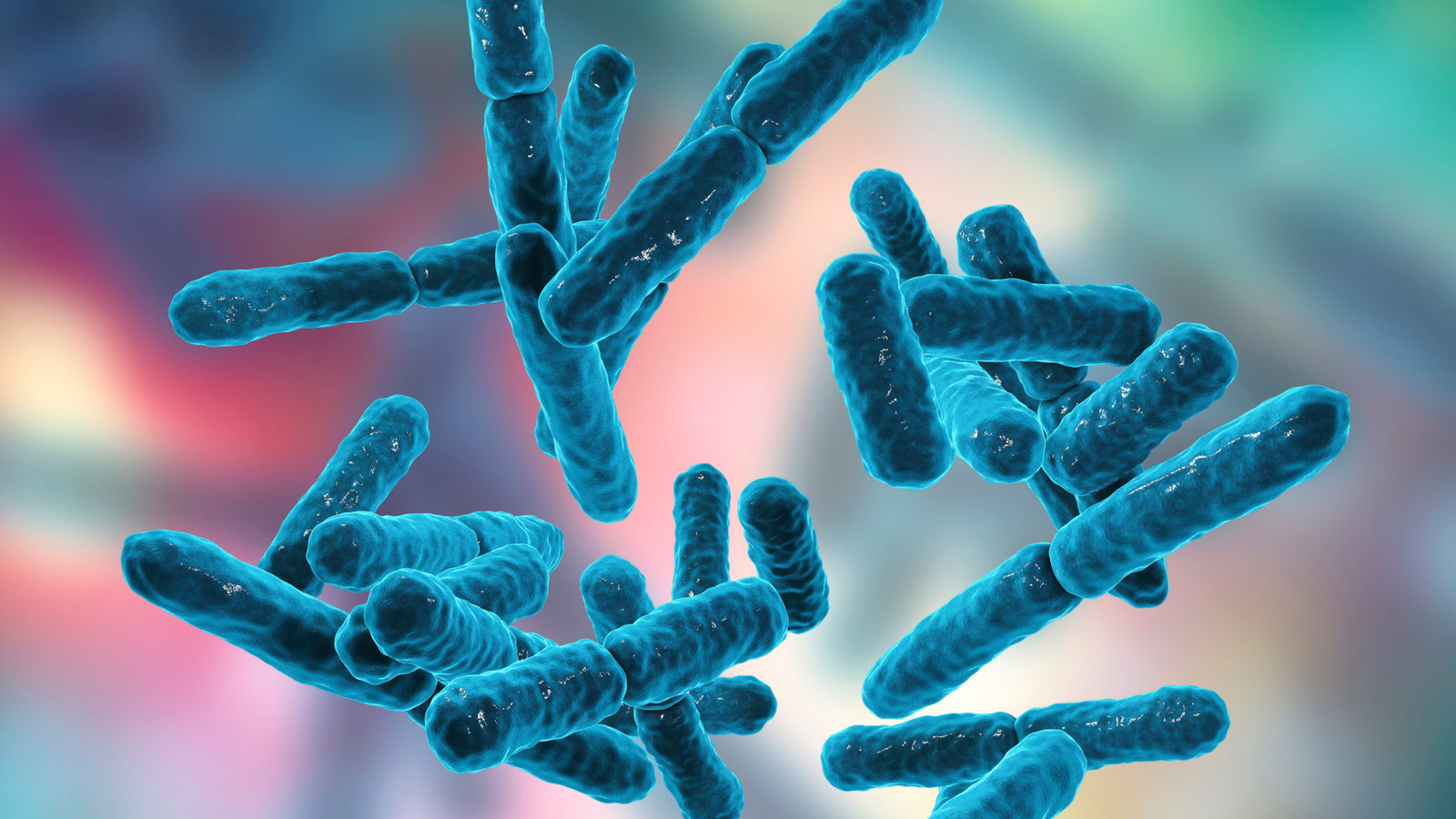 Prebiotics, Probiotics, and Now Postbiotics: What You Need to Know